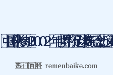 中国队参加2002年世界杯足球赛纪念近义词是什么意思的图片